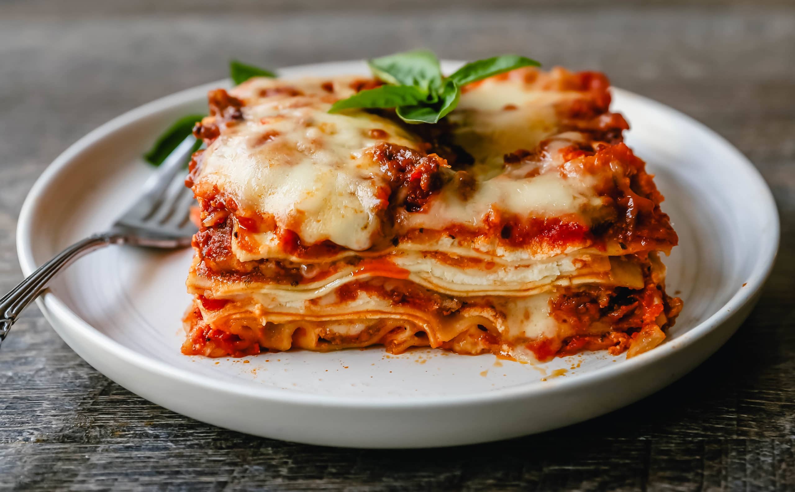 Lasagna photo